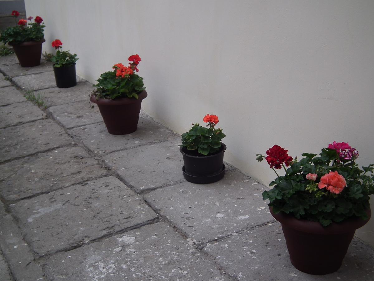 Apartament Bbb48 كلوج-نابوكا المظهر الخارجي الصورة